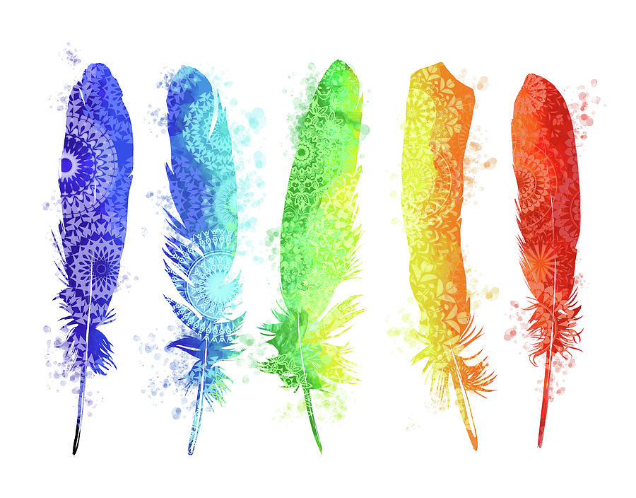 Native Rainbow Feathers Digital Art by Bekim M