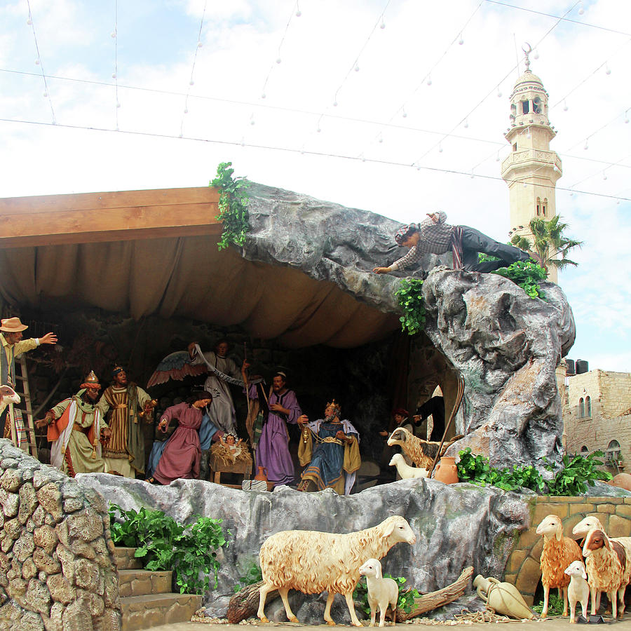 Nativity Sheep Photograph by Munir Alawi