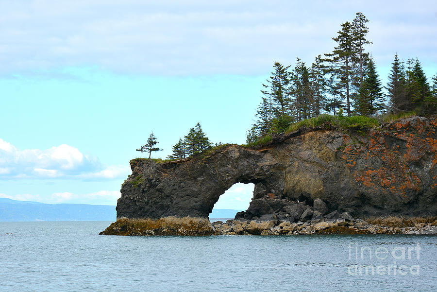 Natural Arch at Halibut Cove, Kachemak Bay, Alaska Photograph by Tatyana Searcy