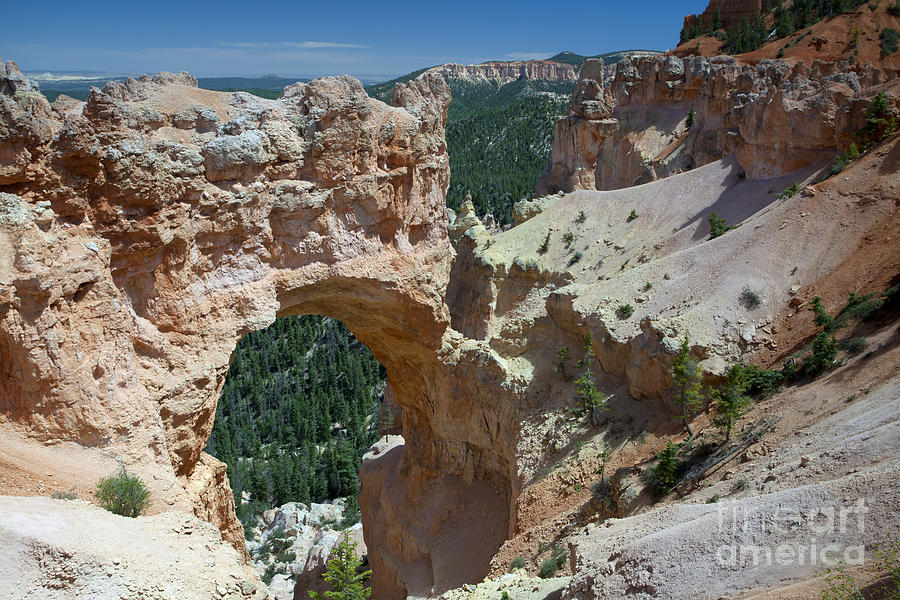 Natural Arch Bryce Canyon - Utah Photograph by Anthony Totah