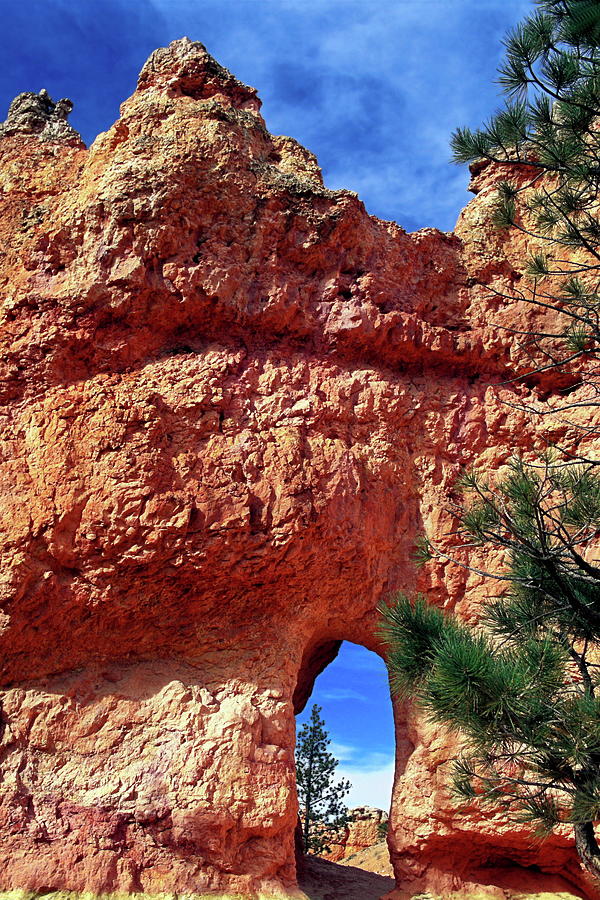 Natural Arch Photograph by Sally Weigand
