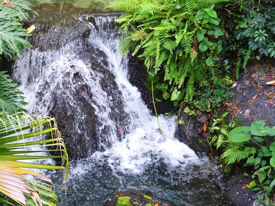 Water Photograph - Natural Beauty by Rana Adamchick Water Photograph - Natural Beauty by Rana Adamchick