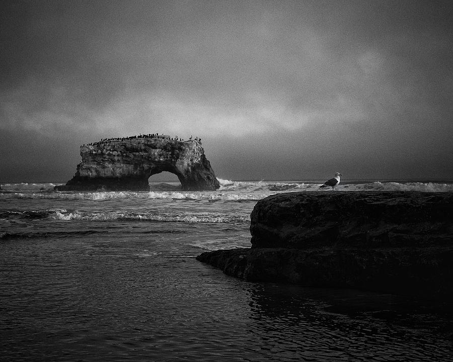 Natural Bridge and the Gull Photograph by Lora Lee Chapman