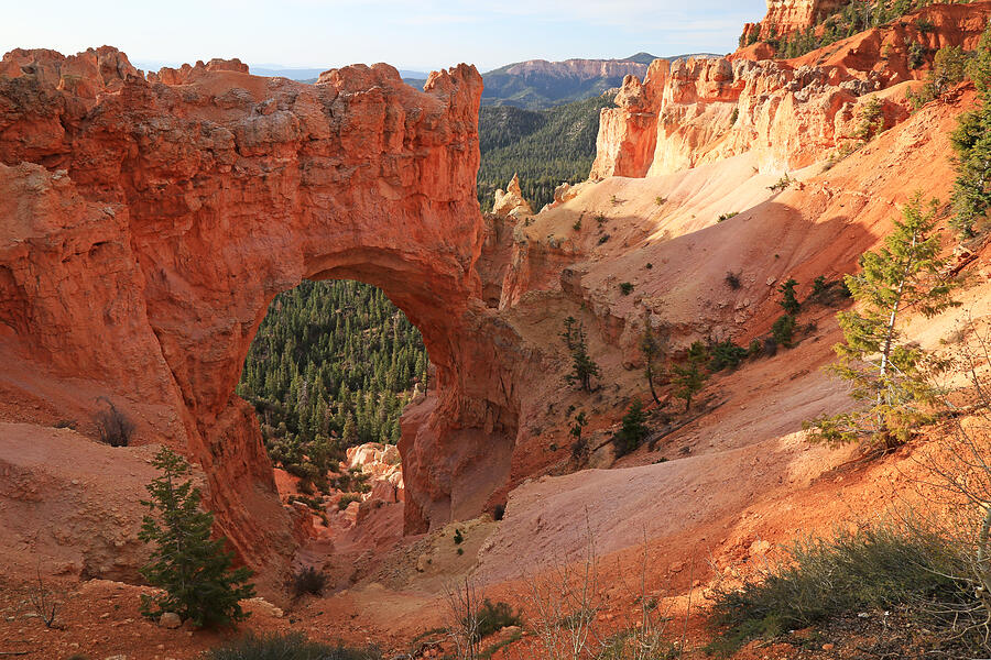National Parks Photograph - Natural Bridge at Bryce Canyon by Donna Kennedy