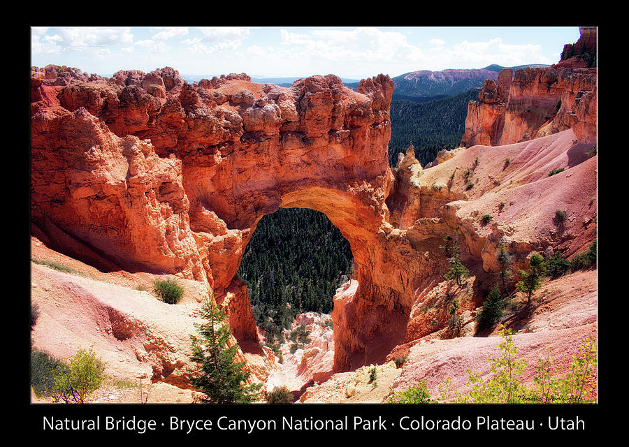 Natural Bridge Bryce Canyon National Park Utah Text Black Photograph by Thomas Woolworth