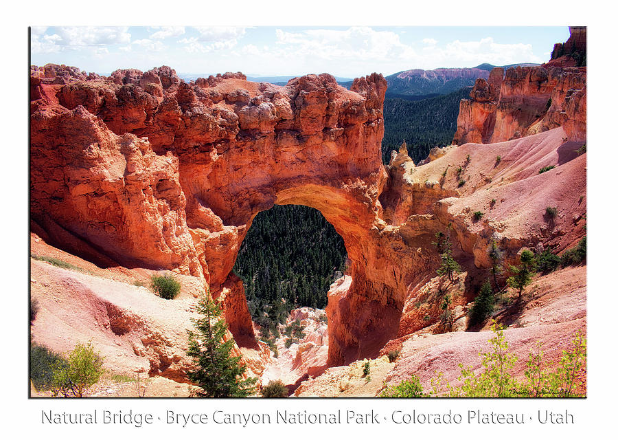 Natural Bridge Bryce Canyon National Park Utah Text Photograph by Thomas Woolworth