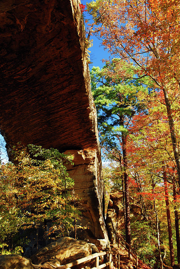 Natural Bridge in Autumn Photograph by James Kirkikis