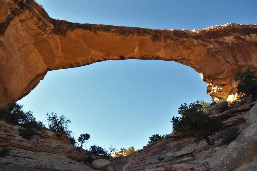 Owachomo Bridge Natural Bridges National Monument 4 Photograph By Flo   Natural Bridges National Monument 4 Flo Mckinley 