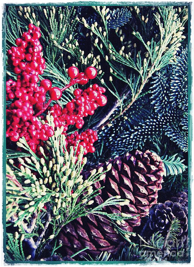 Christmas Photograph - Natural Christmas 3 Card 1 by Sarah Loft