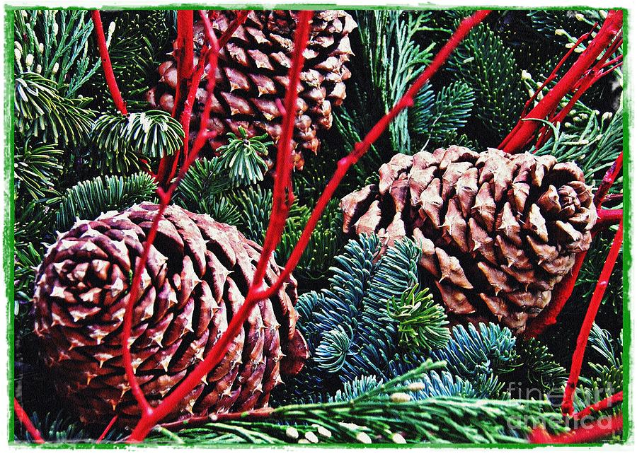 Christmas Photograph - Natural Christmas 4 Card 1 by Sarah Loft