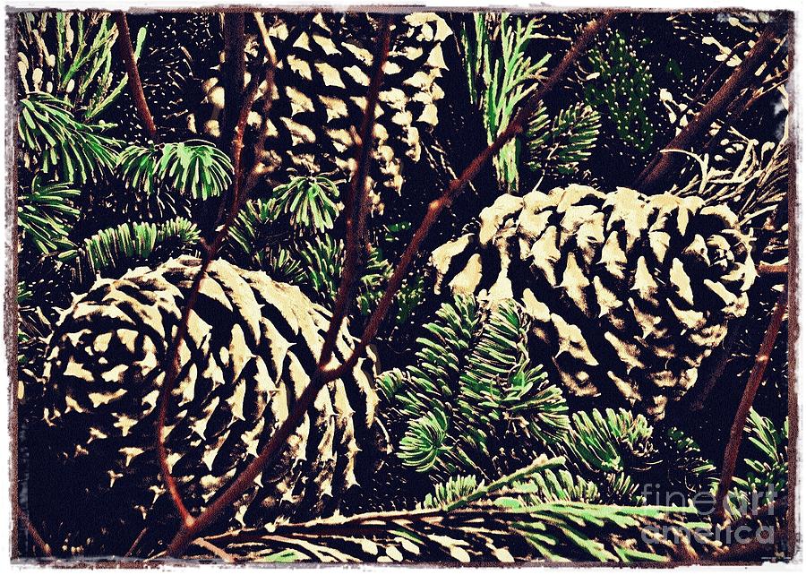 Christmas Photograph - Natural Christmas 4 Card 3 by Sarah Loft