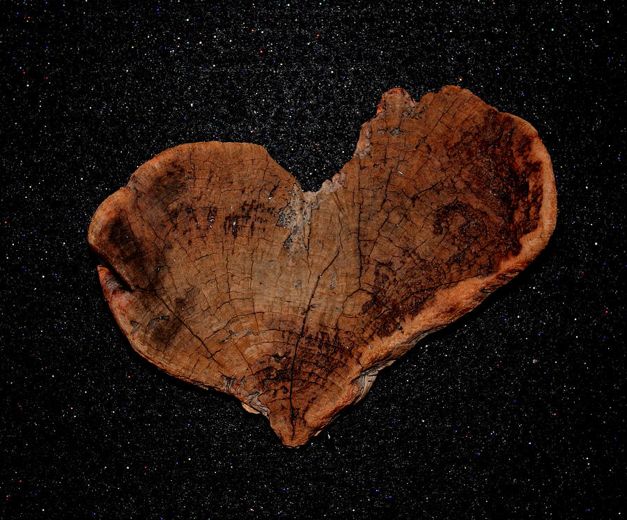 Natural Driftwood Heart #1 Photograph by Larry Bacon