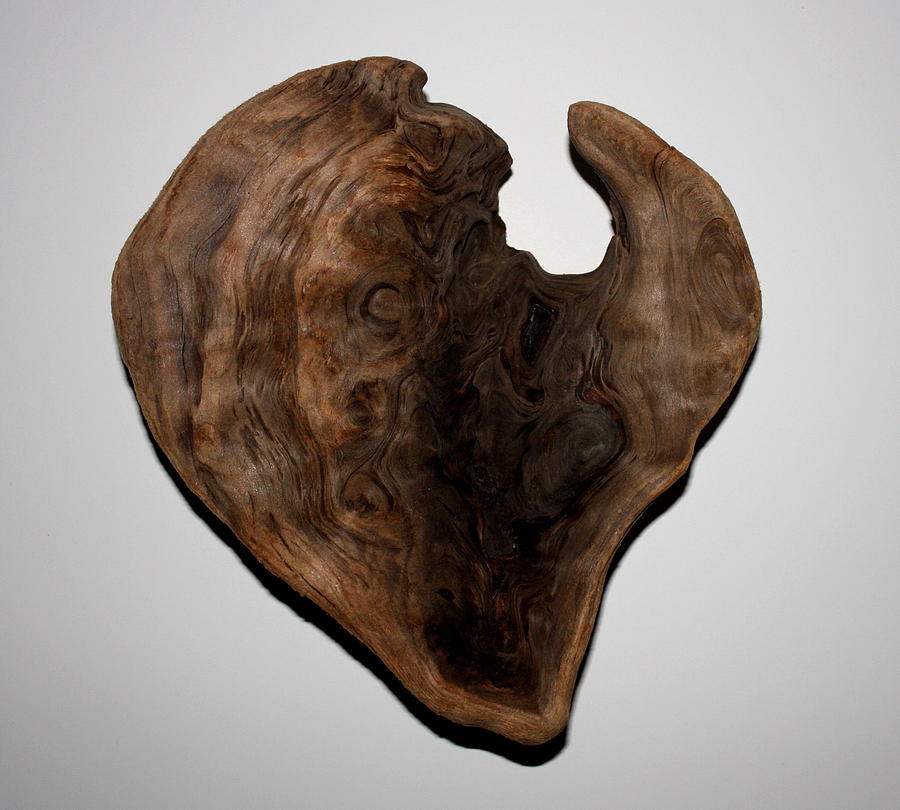 Natural Driftwood Heart #5 Photograph by Larry Bacon