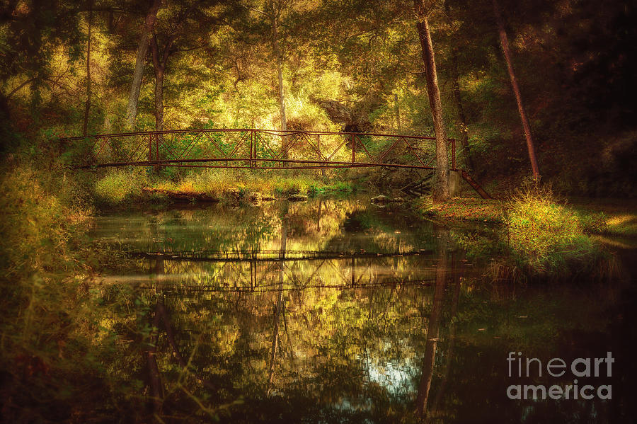 Natural Falls Bridge  Photograph by Tamyra Ayles