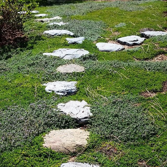 Stone Photograph - #natural Feeling #stone #pathway At by Lisa Marchbanks