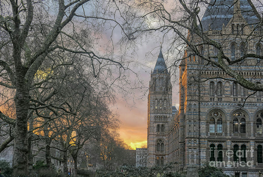 Natural History Museum In London Photograph