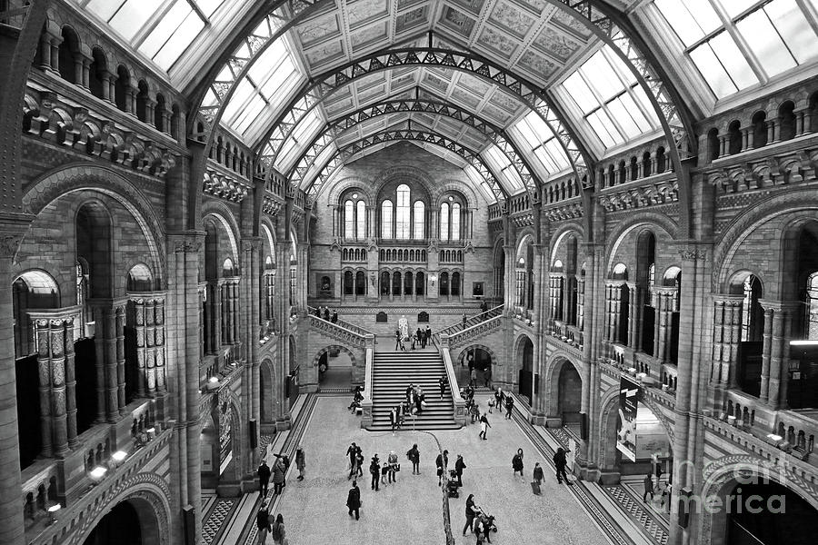 Natural History Museum London 3 Photograph by Julia Gavin