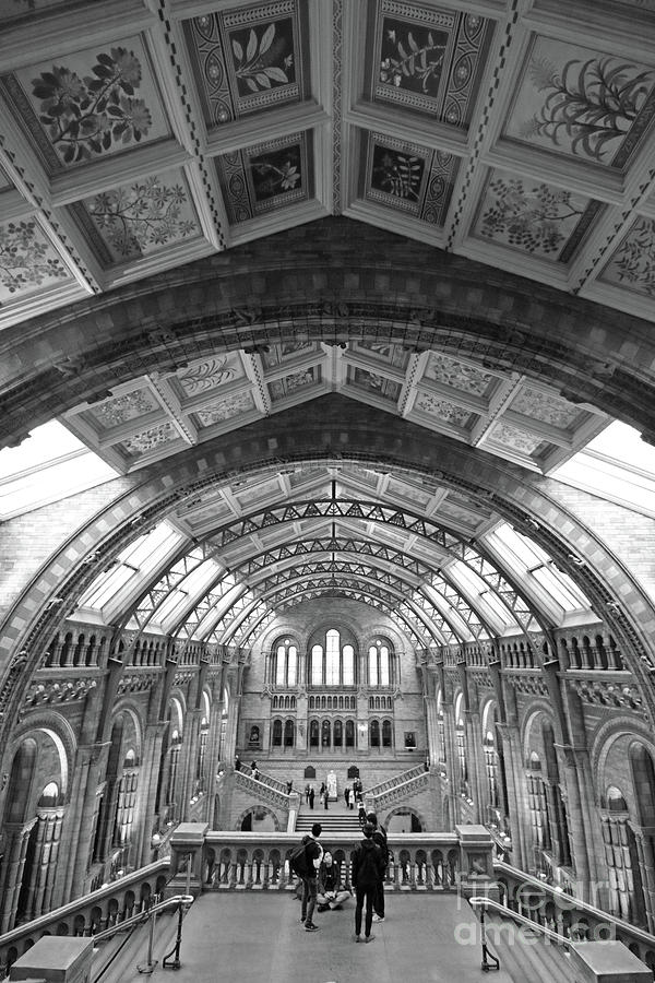Natural History Museum London 6 Photograph by Julia Gavin