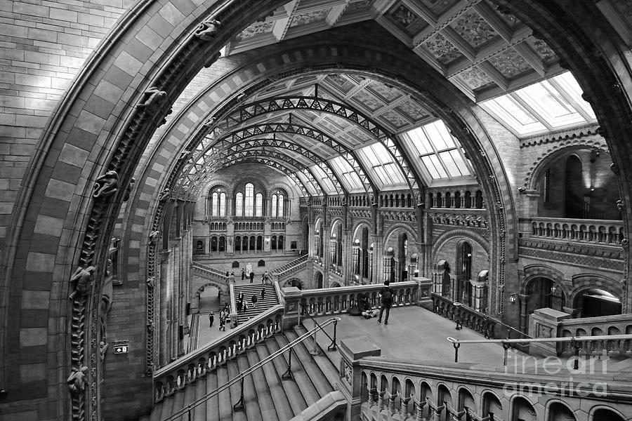  Natural History Museum London 7 Photograph by Julia Gavin