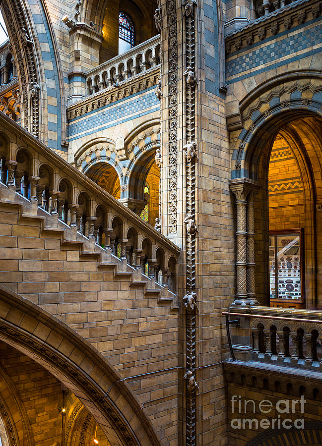 Natural History Museum staircase Photograph by Inge Johnsson