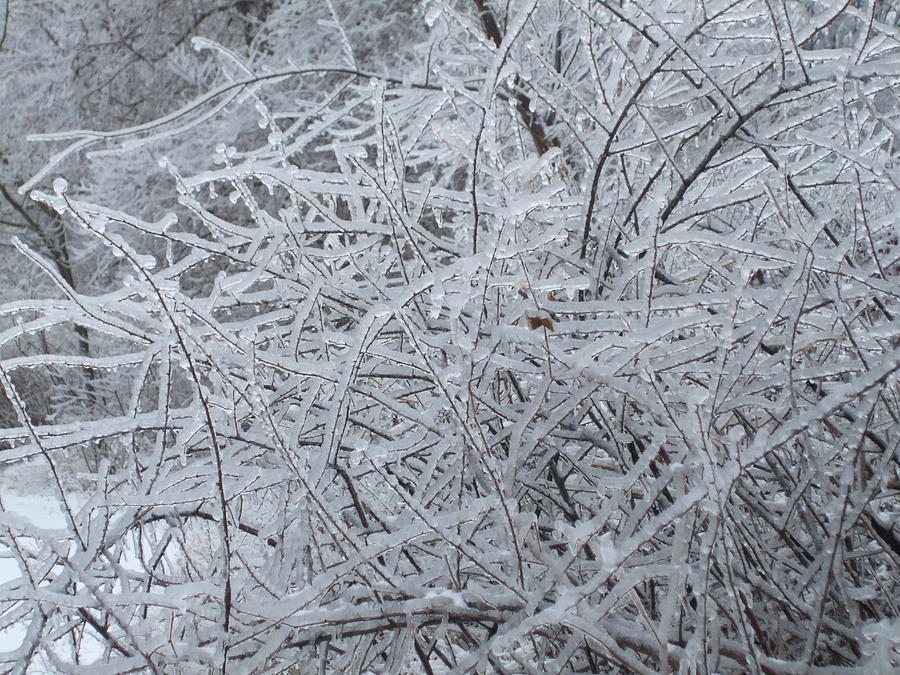 Winter Photograph - Natural Ice Sculpture by Allison Jones