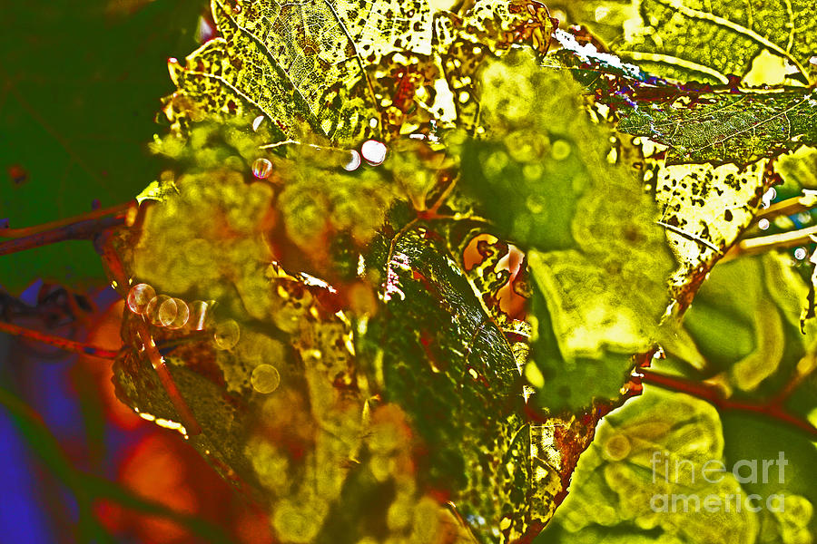 Natural Leaves Abstract Painting Photograph by David Frederick