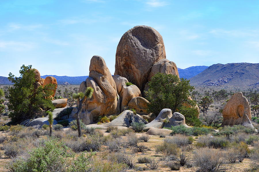 Natural Monument - Joshua Tree National Park Photograph by Glenn McCarthy Art and Photography