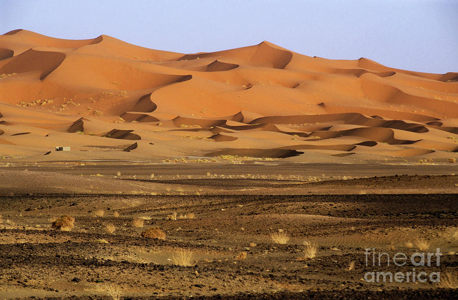 Natural patterns formed in large sand dunes Photograph by Sami Sarkis Photography Natural patterns formed in large sand dunes Photograph by Sami Sarkis Photography