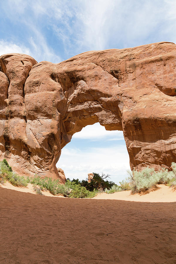 natural sandstone Pine Tree Arch in Arches National Park, Utah,  Photograph by Henning Marquardt