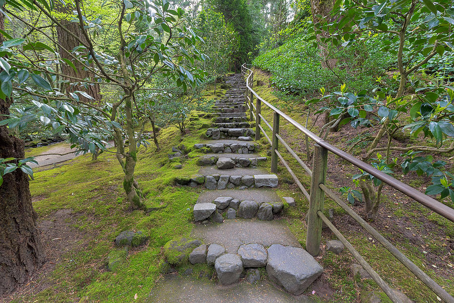 Natural Stone Steps in Japanese Garden Photograph by Jit Lim | Fine Art ...