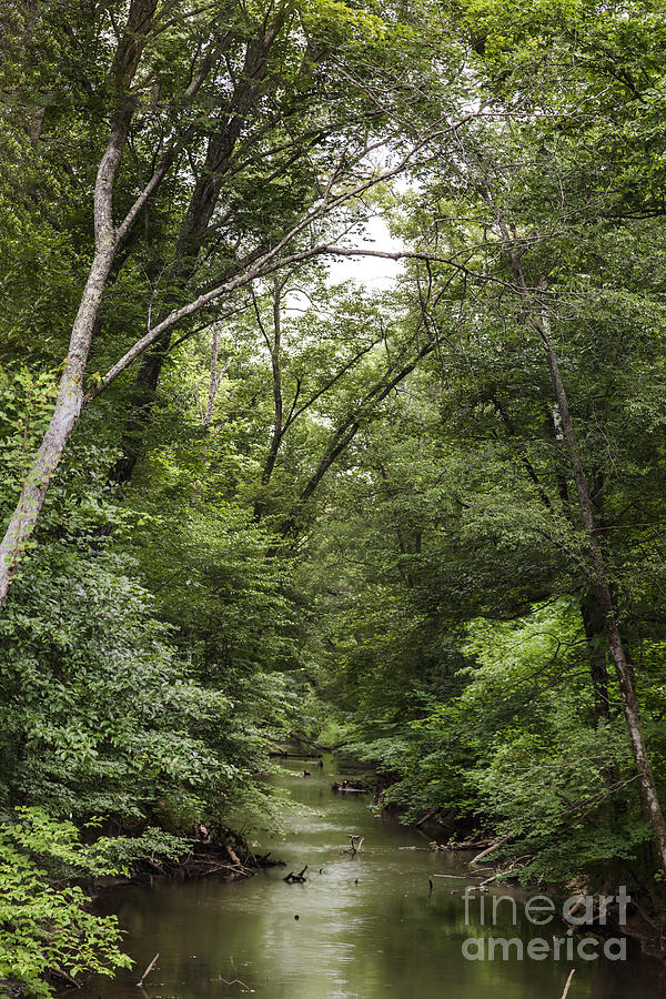 Natural Stream Photograph by Larry Braun | Fine Art America