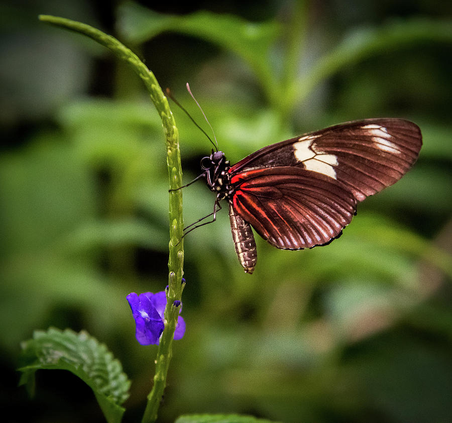 Natural Wonder Photograph by Tiffany Steiner