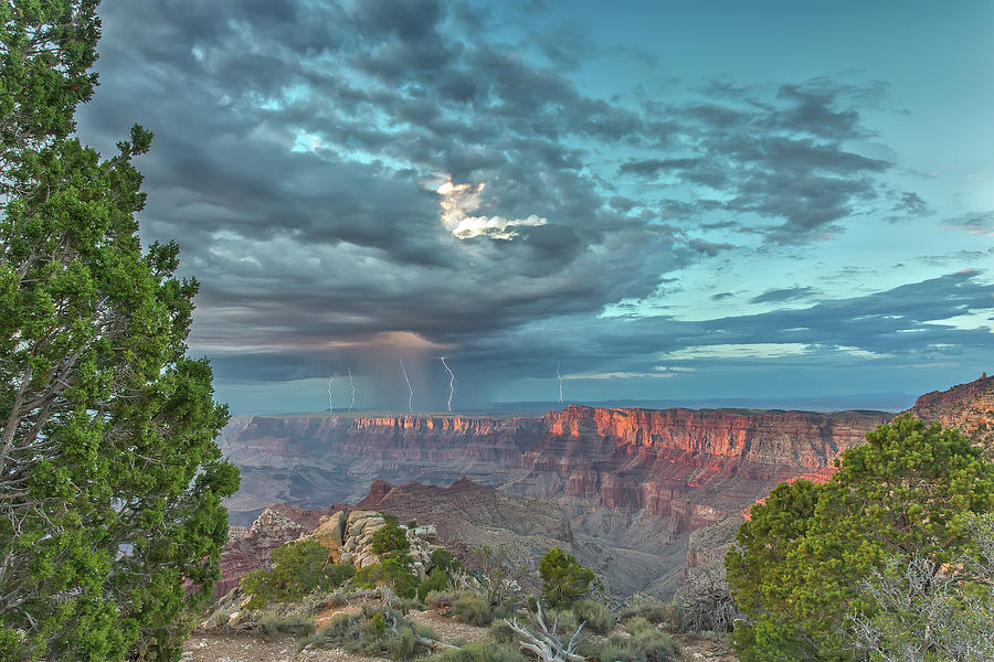 Natural Wonders by James Menzies Natural Wonders by James Menzies