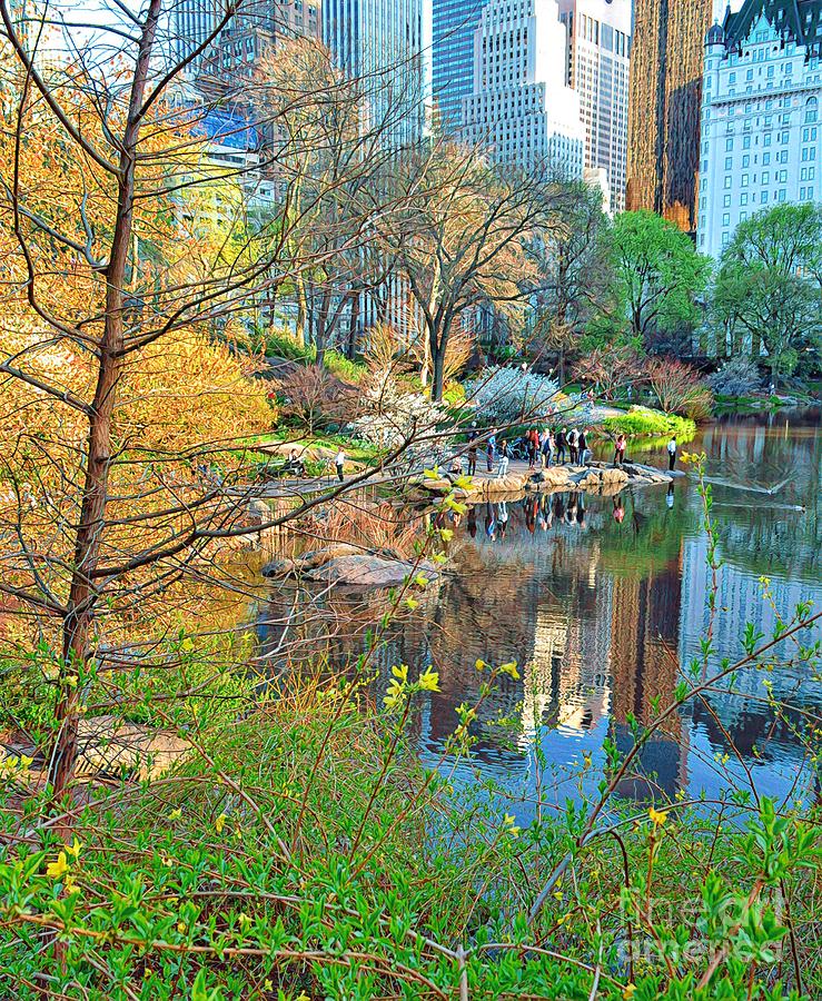 Nature and City - Central Park in Spring Photograph by Miriam Danar ...