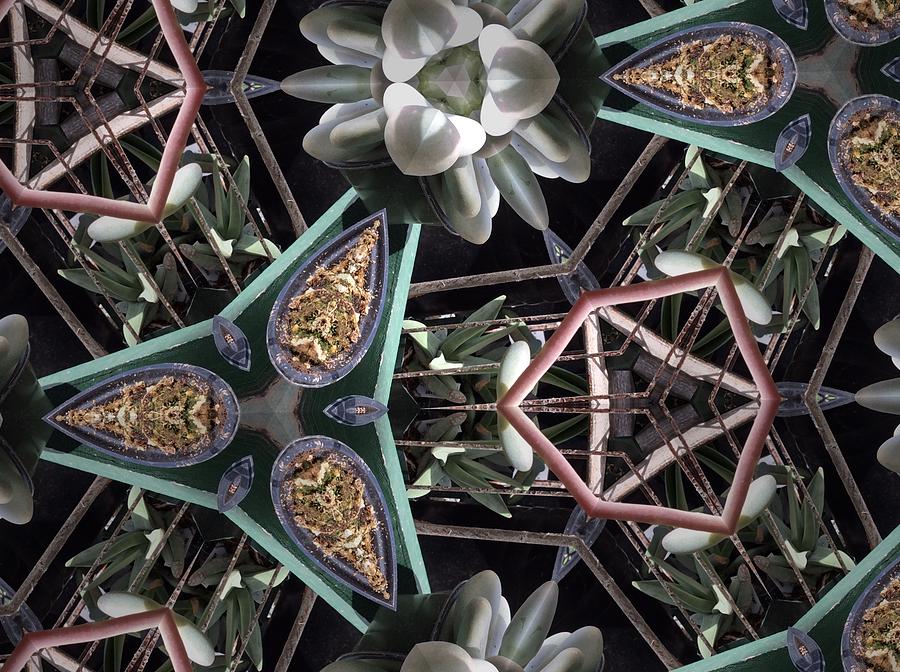 Pattern Photograph - Nature and Geometry by Sylvan Adams Pattern Photograph - Nature and Geometry by Sylvan Adams