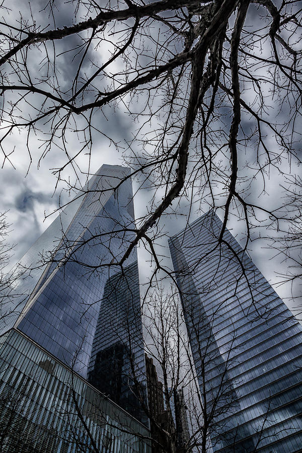 Nature and the High Rises Photograph by Robert Ullmann