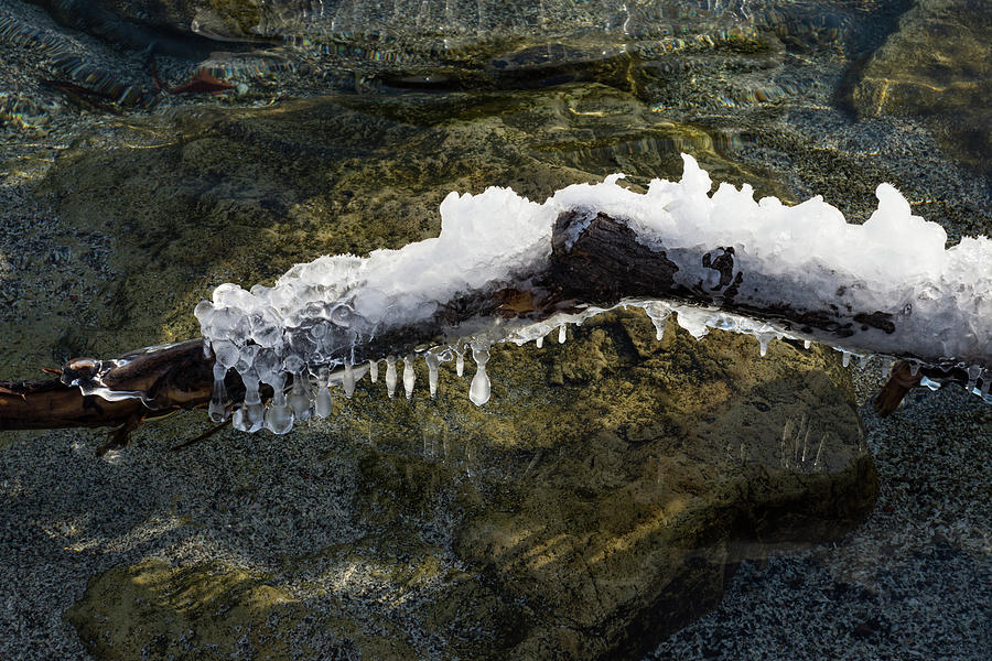 Nature Artistic Hand - Sculpted Ice and Sun Sparkles Photograph by Georgia Mizuleva