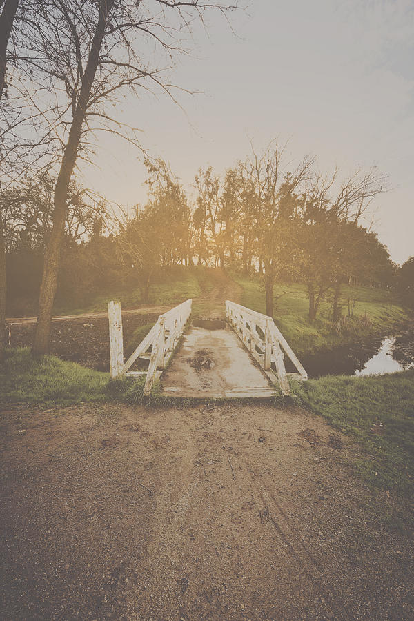 Nature Background with Vintage Style Filter Photograph by Brandon Bourdages
