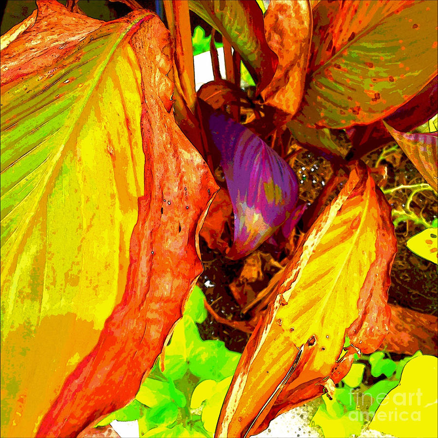 Nature Beauty Digital Art by Gayle Price Thomas