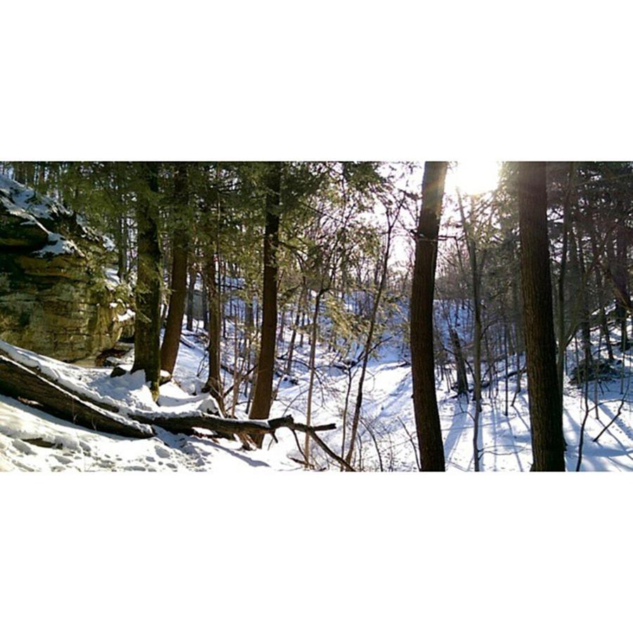 Winter Photograph - Nature Boy #grandledge #ledges #lansing by Connor Shutes
