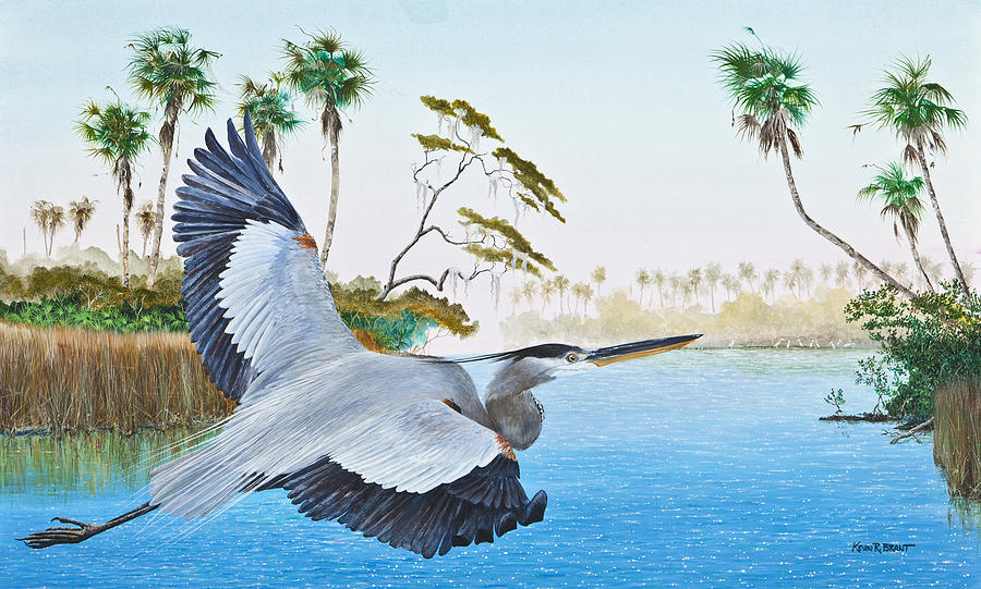 Nature Coast 2 by KEVIN BRANT Nature Coast 2 by KEVIN BRANT