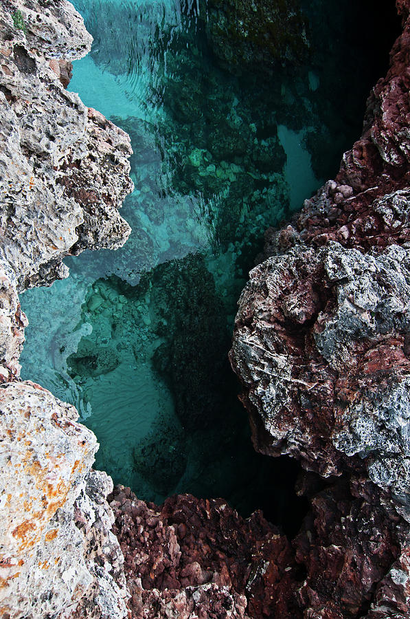 Menorca Nature colors Photograph by Pedro Cardona Llambias