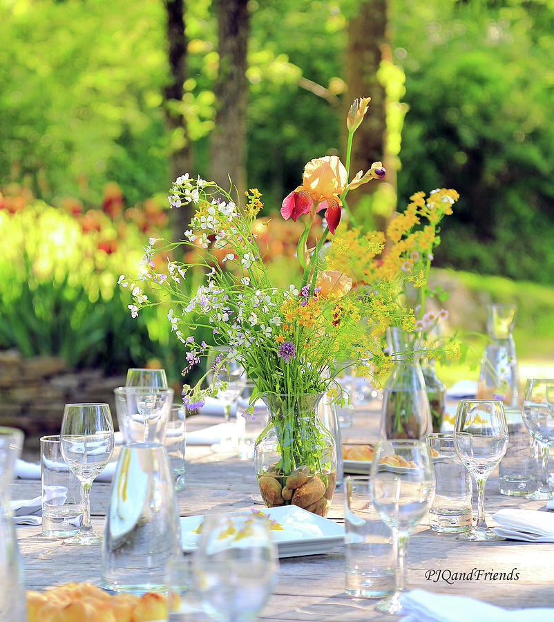 Nature Dinner Served Photograph by PJQandFriends Photography
