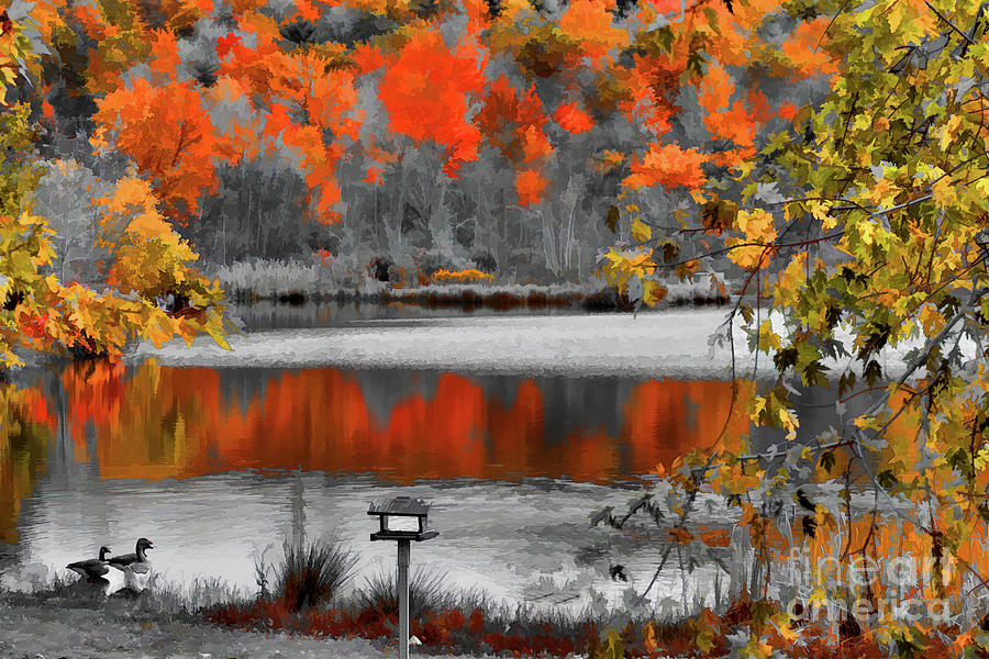 Nature Landscape duck pond abstract  Photograph by Chuck Kuhn