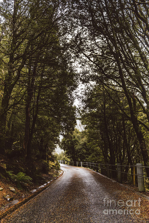 Nature landscape photo of a scenic mountain road Photograph by Jorgo Photography