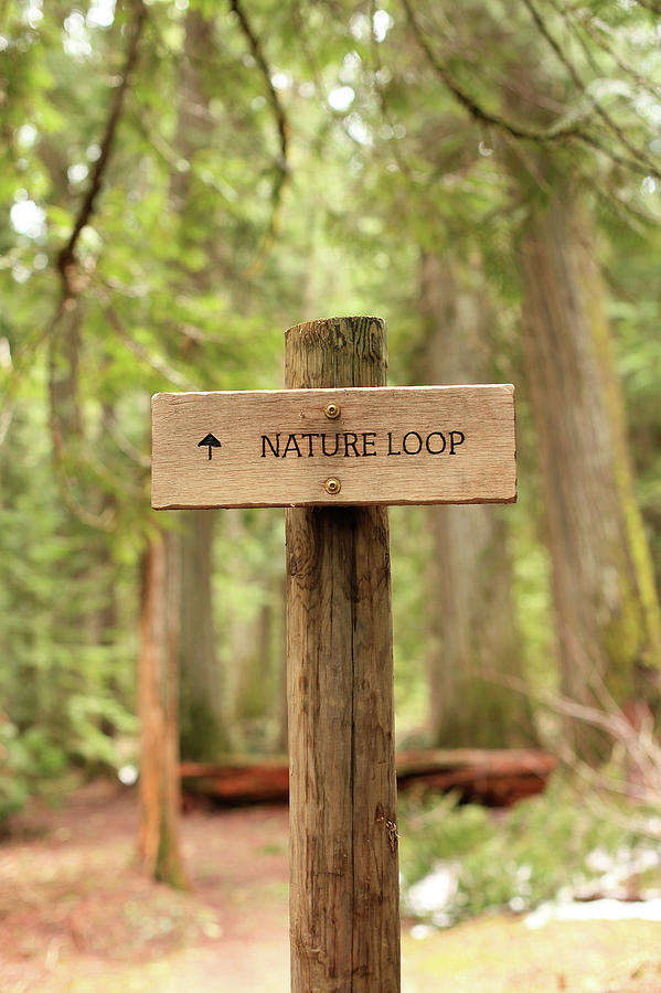 Nature Photograph - Nature Loop Sign by Tracy Chappell