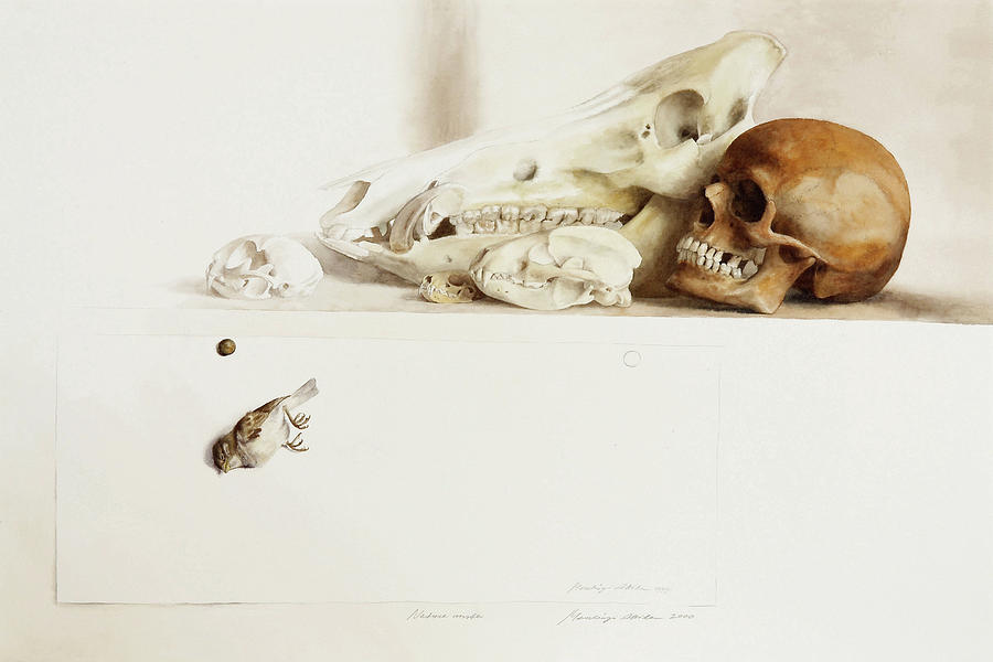 Nature Morte Painting by Attila Meszlenyi