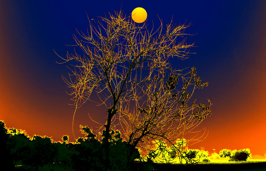 Tree Digital Art - Nature of the Night by Bliss Of Art