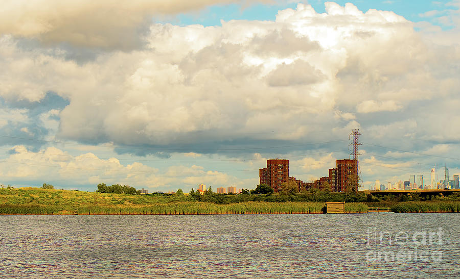 Nature Preserve meets City Photograph by Sam Rino