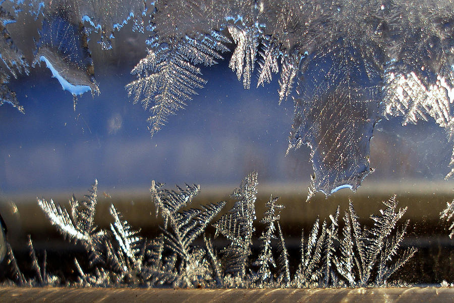 Winter Photograph - Nature s Art Work by Irma BACKELANT GALLERIES